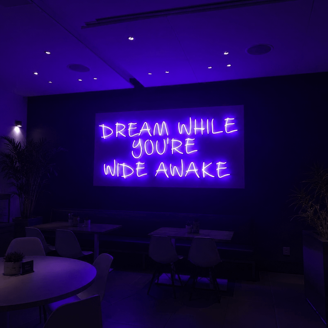 Dream While You Re Wide Awake Wall Decor LED Neon Sign - Shineneon