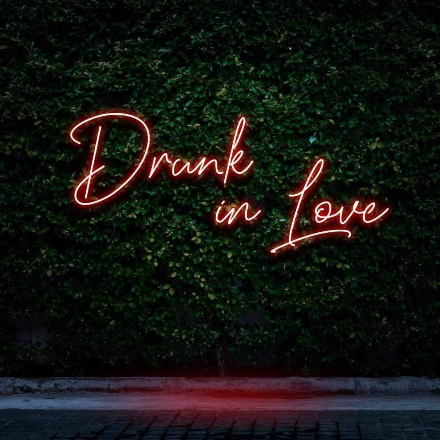 Drunk In Love Pink Led Neon Sign For Outdoor Bar Or Cafe Decor | Shineneon