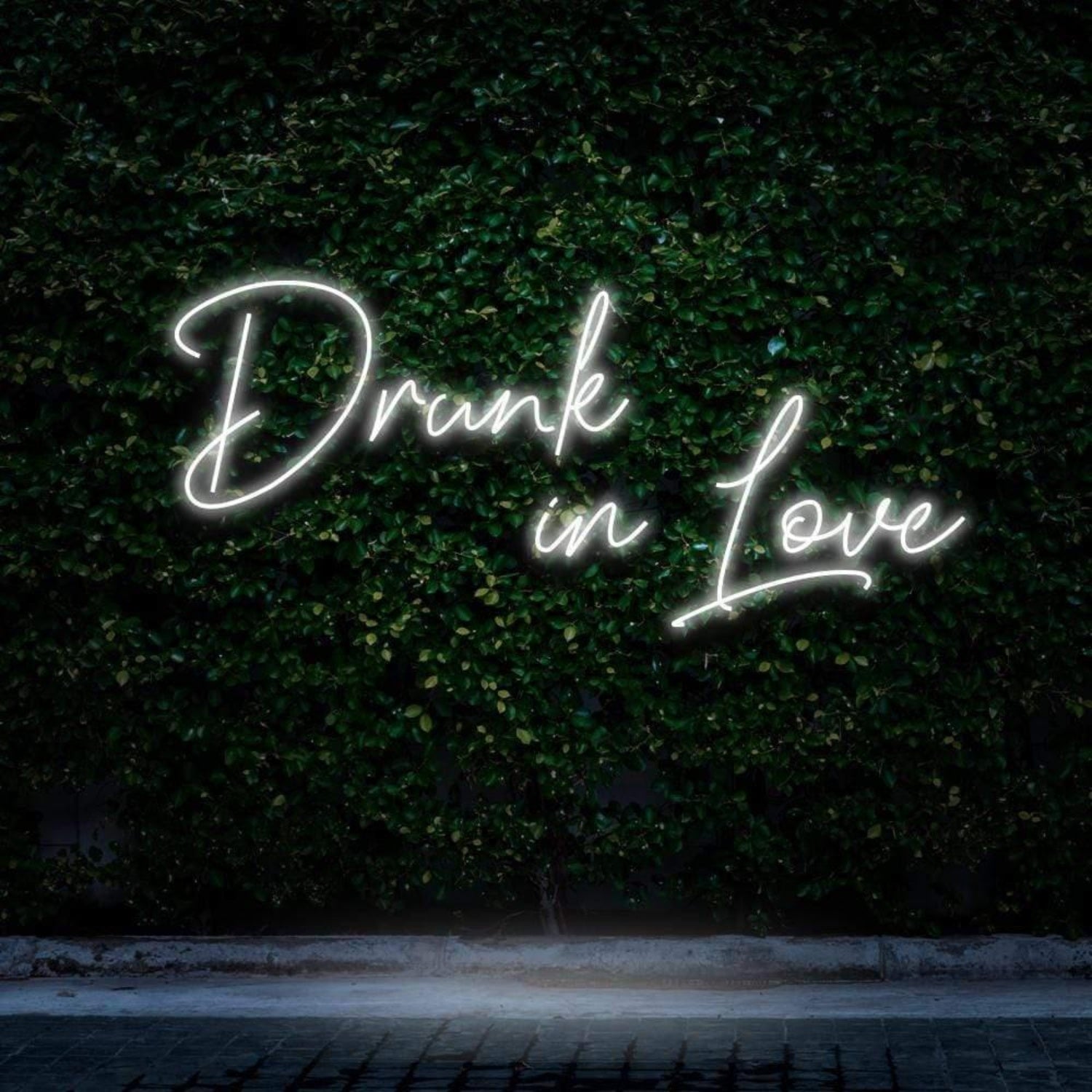 Drunk In Love Pink Led Neon Sign For Outdoor Bar Or Cafe Decor | Shineneon