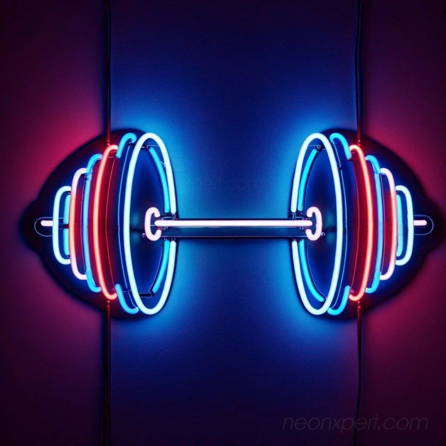 Dumbbell Red Blue White Led Neon Sign For Gym Home Decor | Shineneon