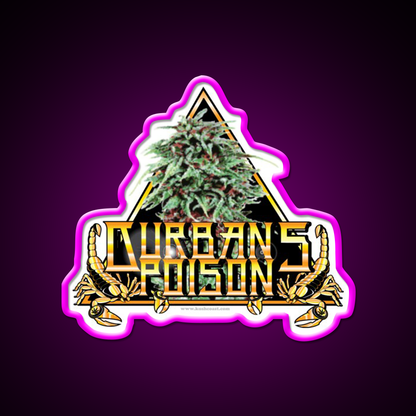Durbans Poison Strain Art Hemp Inspired Green Leaf Led Neon Sign Rgb Color - Neon sign mounted on wall in room