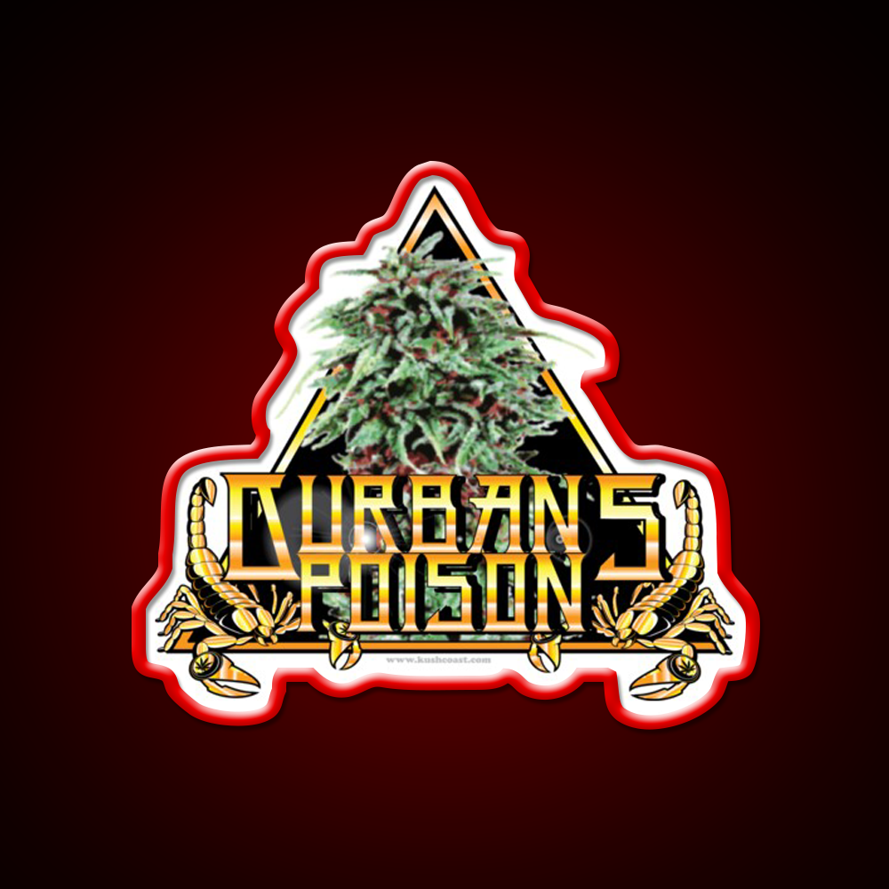 Durbans Poison Strain Art Hemp Inspired Green Leaf Led Neon Sign Rgb Color - LED neon sign view 10