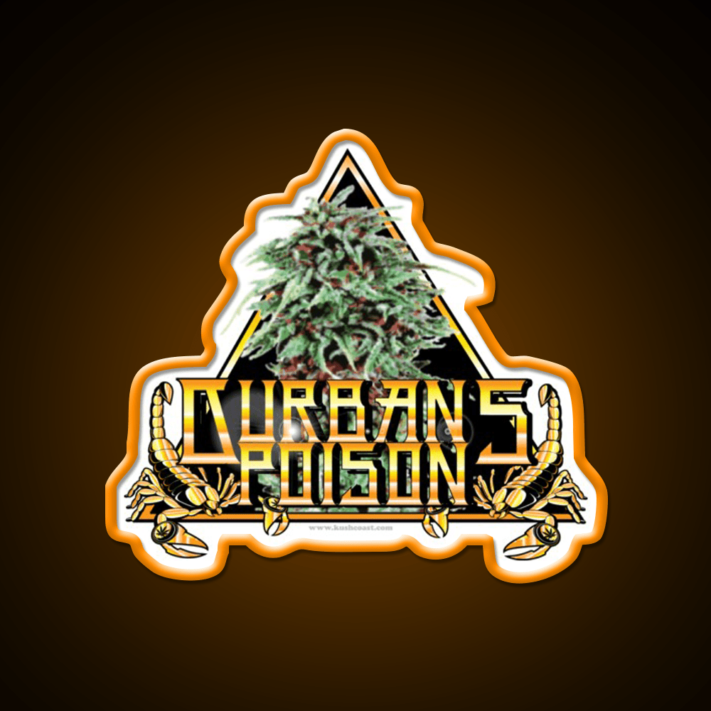 Durbans Poison Strain Art Hemp Inspired Green Leaf Led Neon Sign Rgb Color - Shineneon
