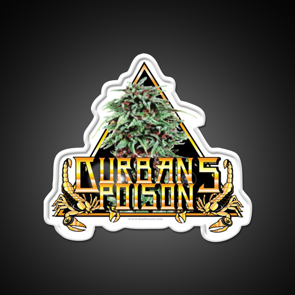 Durbans Poison Strain Art Hemp Inspired Green Leaf Led Neon Sign Rgb Color - LED neon sign view 11