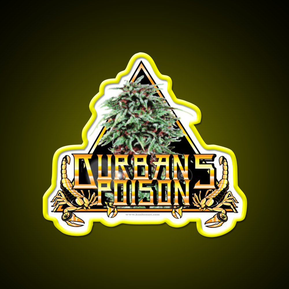 Durbans Poison Strain Art Hemp Inspired Green Leaf Led Neon Sign Rgb Color - LED neon sign view 7