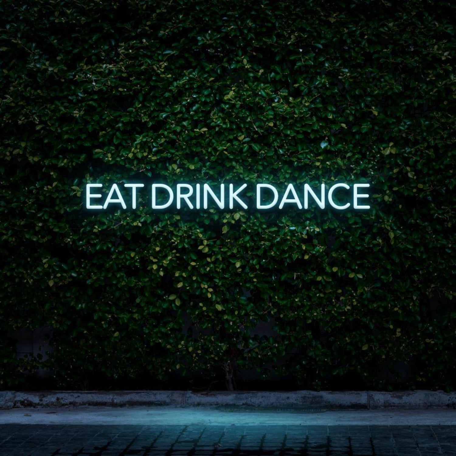 Eat Drink Dance Green Led Neon Sign For Bar Restaurant Nightclub | Shineneon