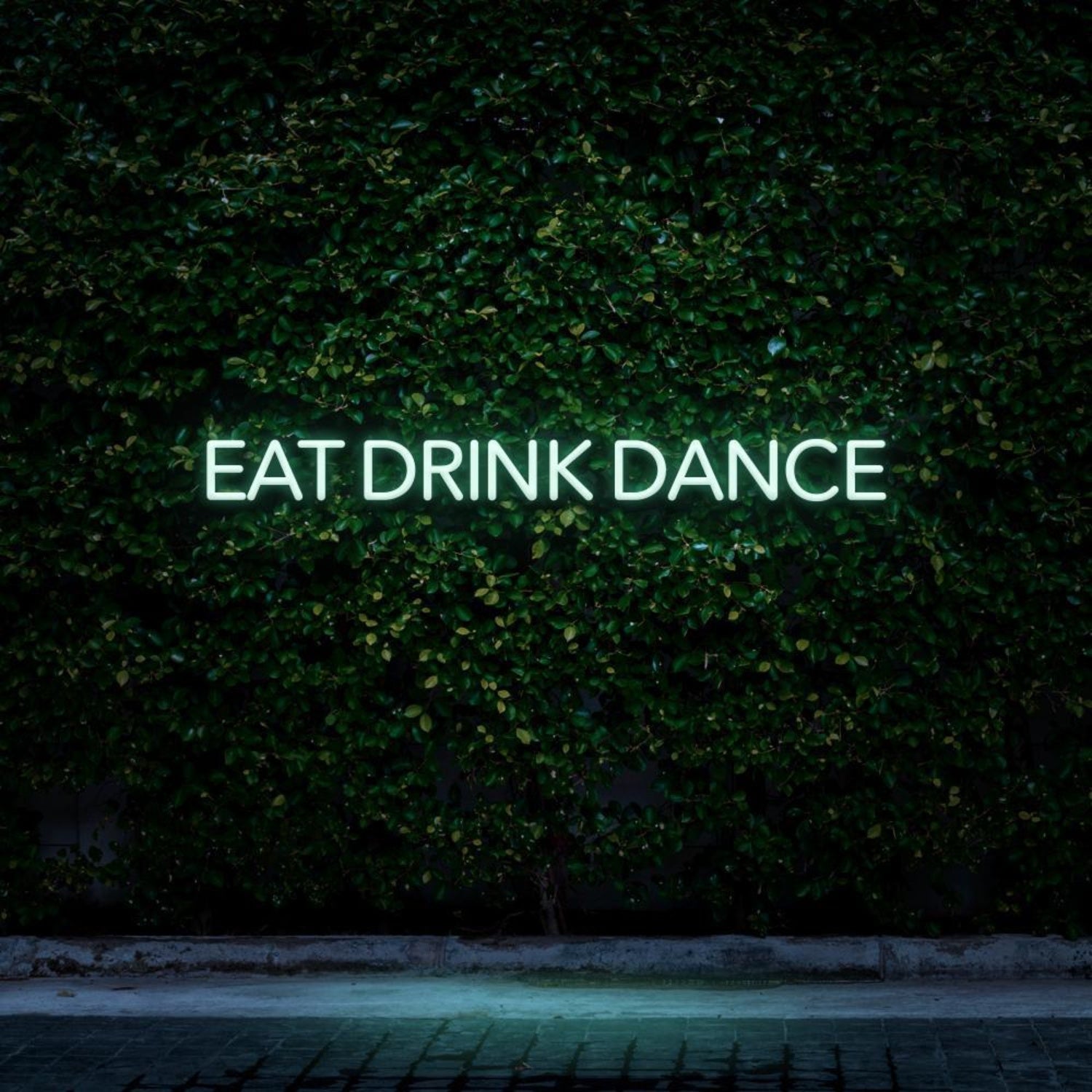 Eat Drink Dance Green Led Neon Sign For Bar Restaurant Nightclub | Shineneon