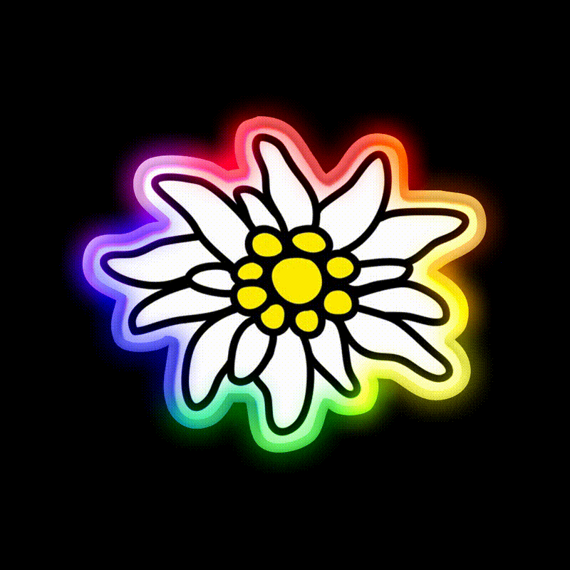 Edelweiss Flower Tradition Bavaria Tyrol Beer Bar Decor Led Neon Sign Rgb Color - LED neon sign close-up detail