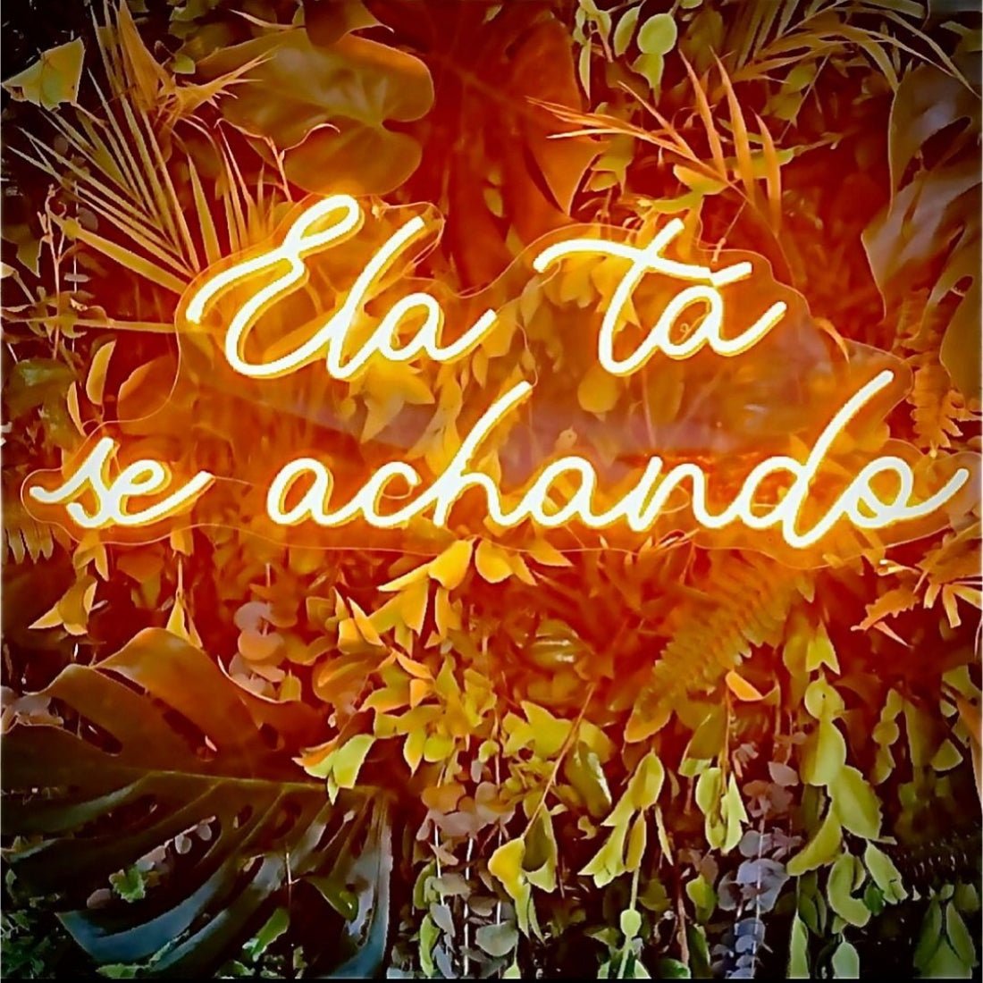 Ela Ta Se Achando Portuguese Shes Finding Herself Led Sign Business Neon Sign - Shineneon