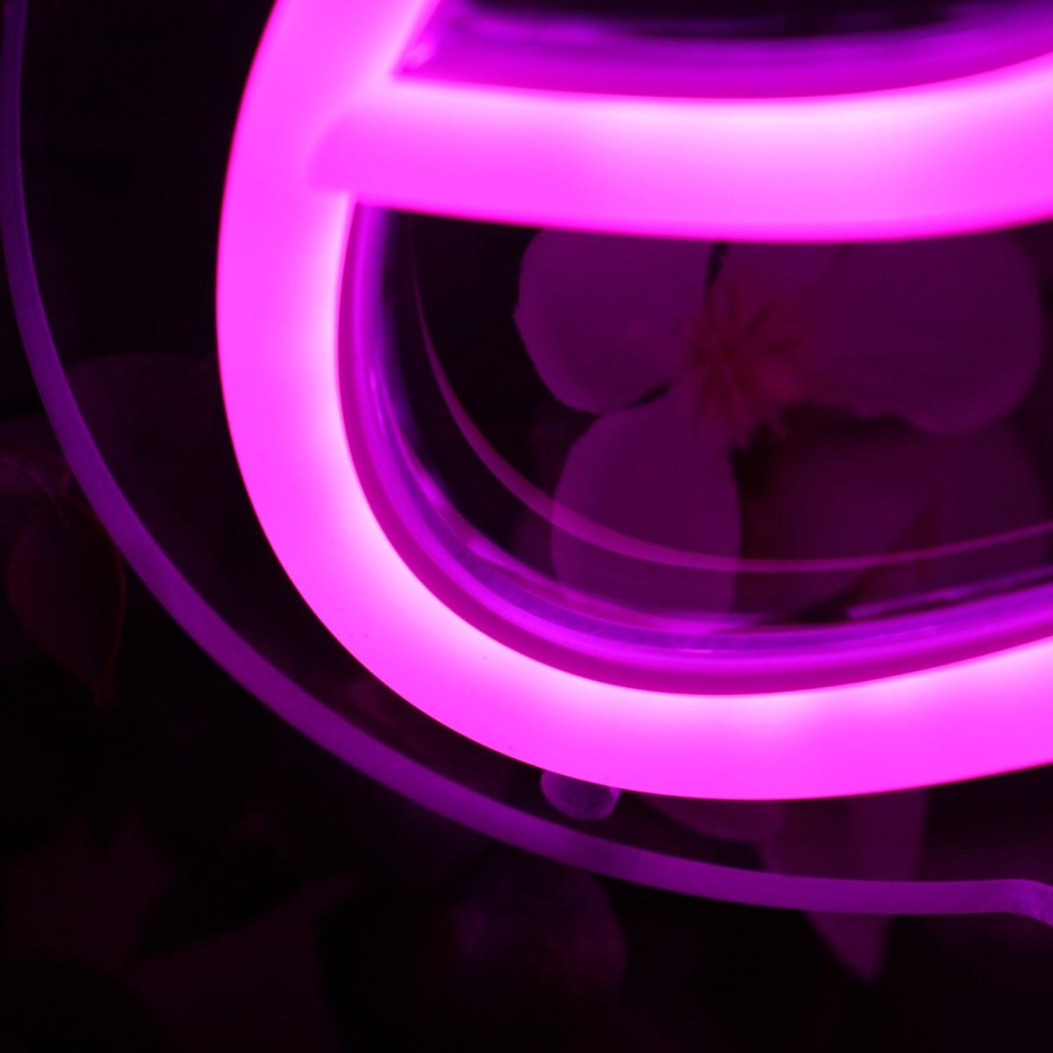 Emily Pink Led Neon Sign Wall Art - Shineneon