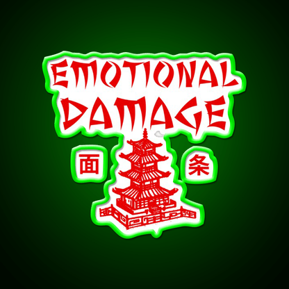Emotional Damage Led Neon Sign Chinese Food Rgb Color - Shineneon