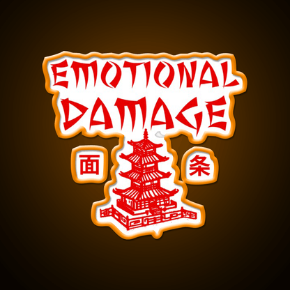 Emotional Damage Led Neon Sign Chinese Food Rgb Color - Shineneon