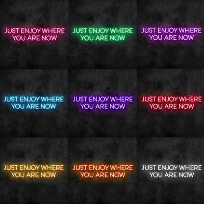 Enjoy Where You Are Led Neon Sign - Shineneon