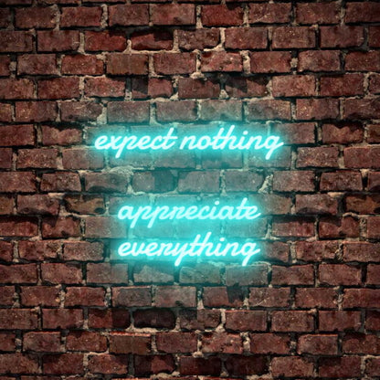 Expect Nothing Appreciate Everything Led Neon Sign | Shineneon