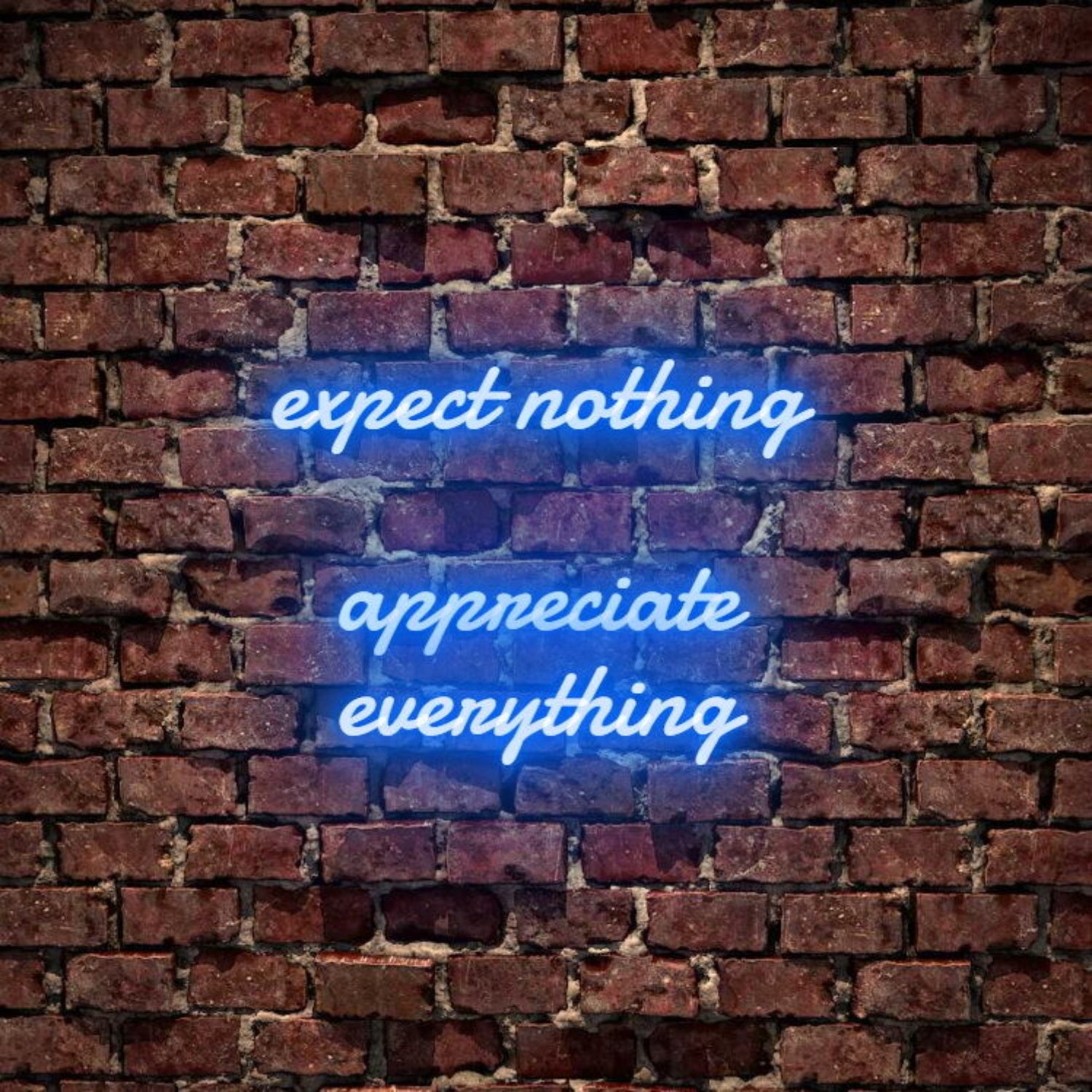 Expect Nothing Appreciate Everything Led Neon Sign | Shineneon