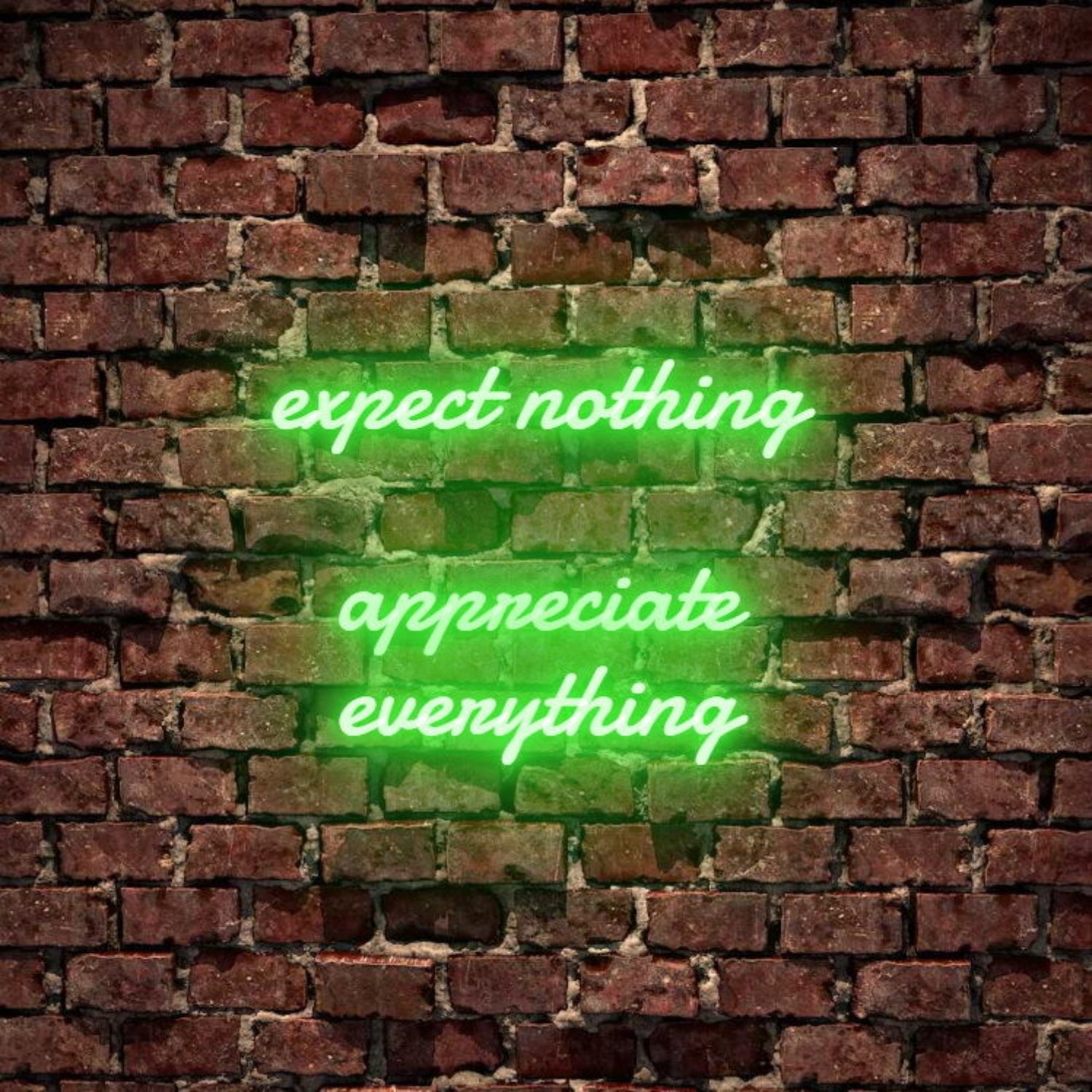 Expect Nothing Appreciate Everything Led Neon Sign | Shineneon