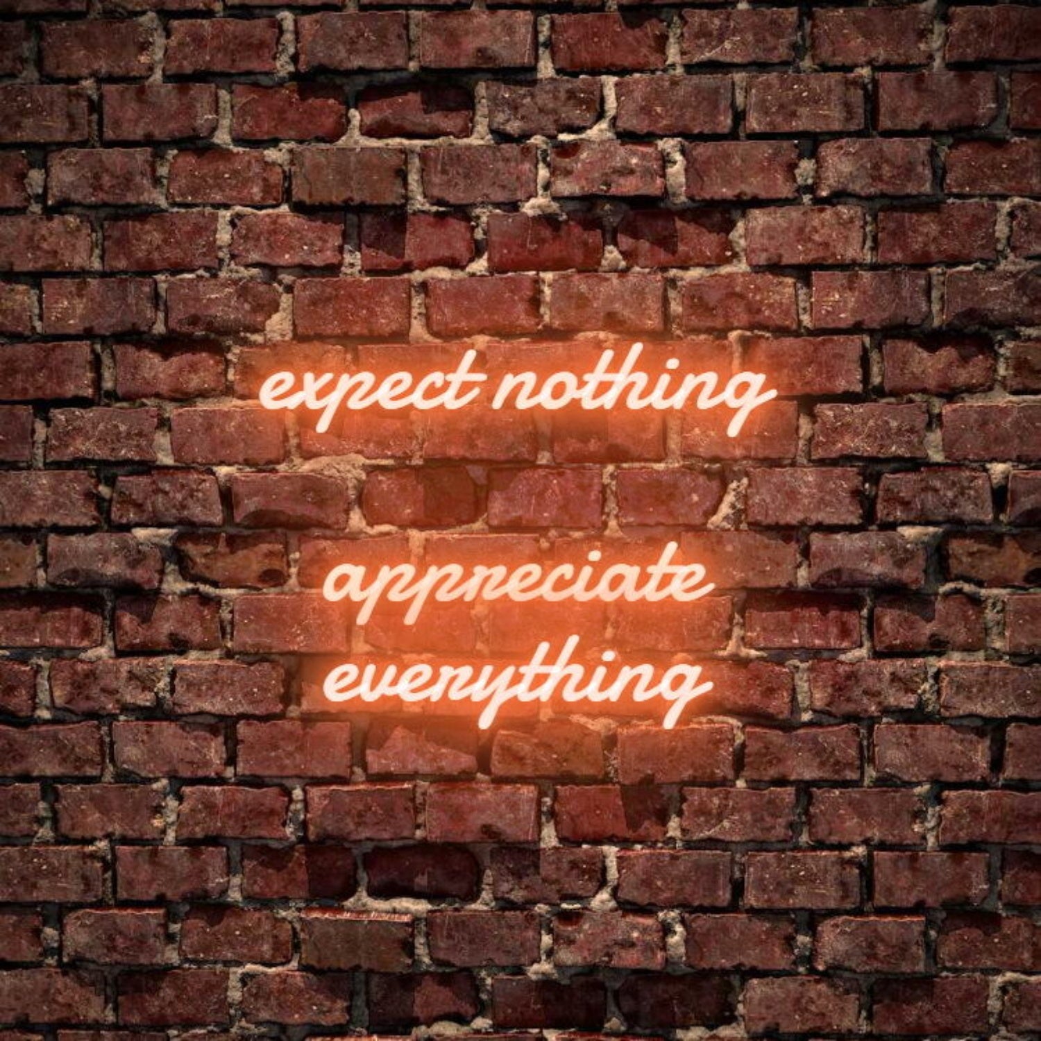 Expect Nothing Appreciate Everything Led Neon Sign | Shineneon