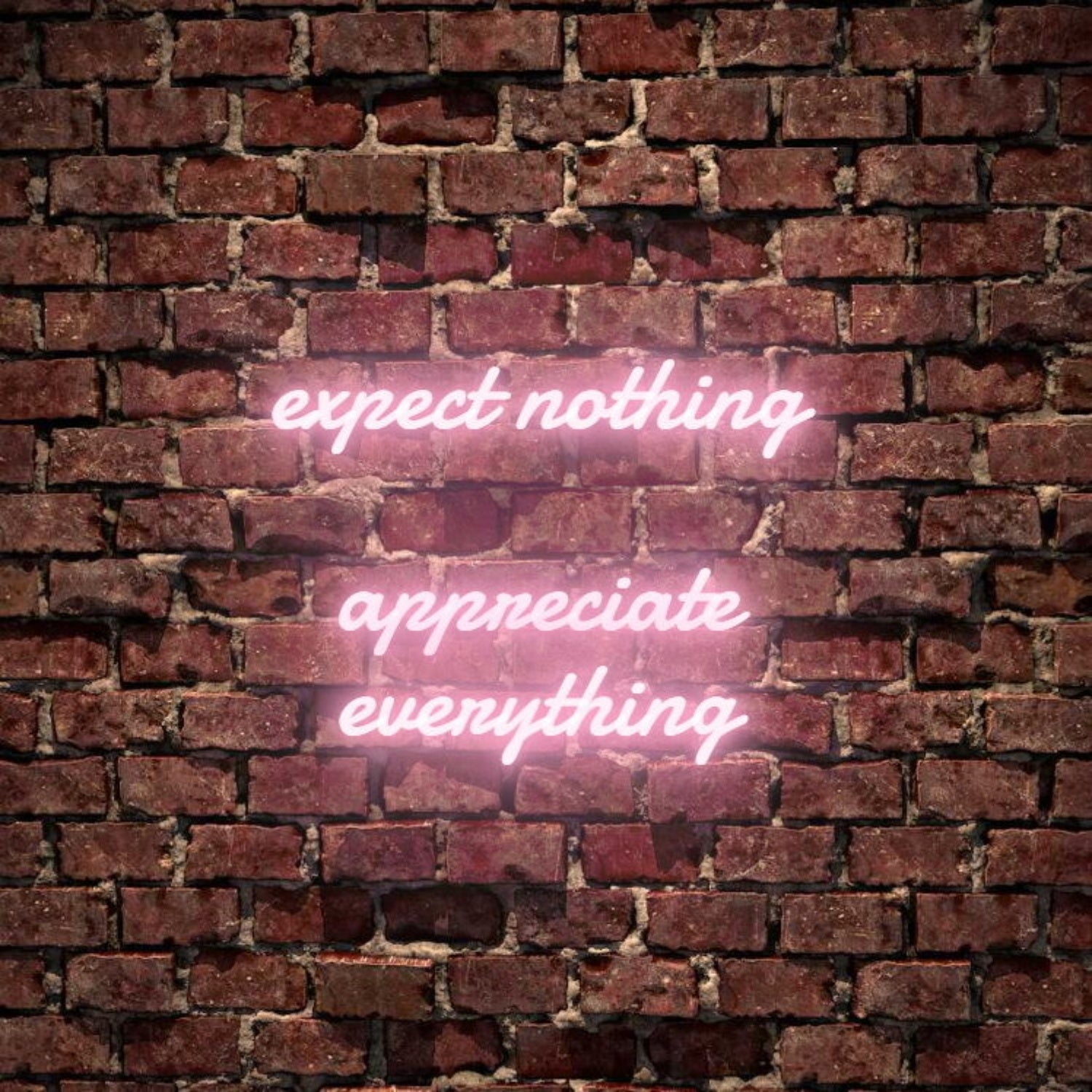 Expect Nothing Appreciate Everything Led Neon Sign | Shineneon