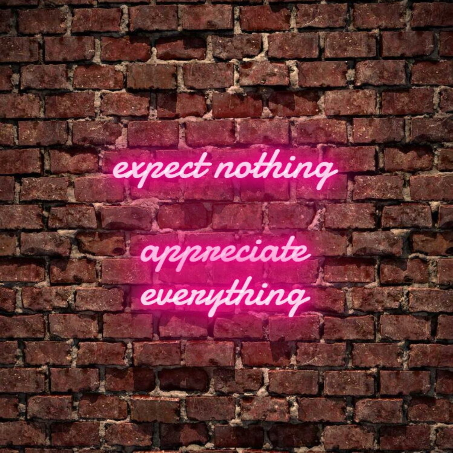 Expect Nothing Appreciate Everything Led Neon Sign | Shineneon