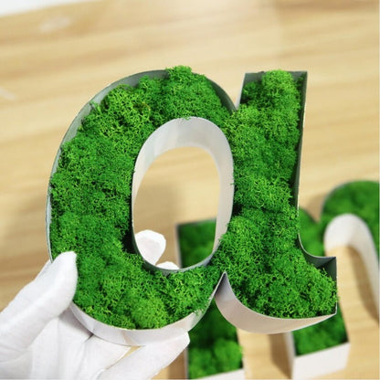 Family 3D Moss Letter Sign - Shineneon