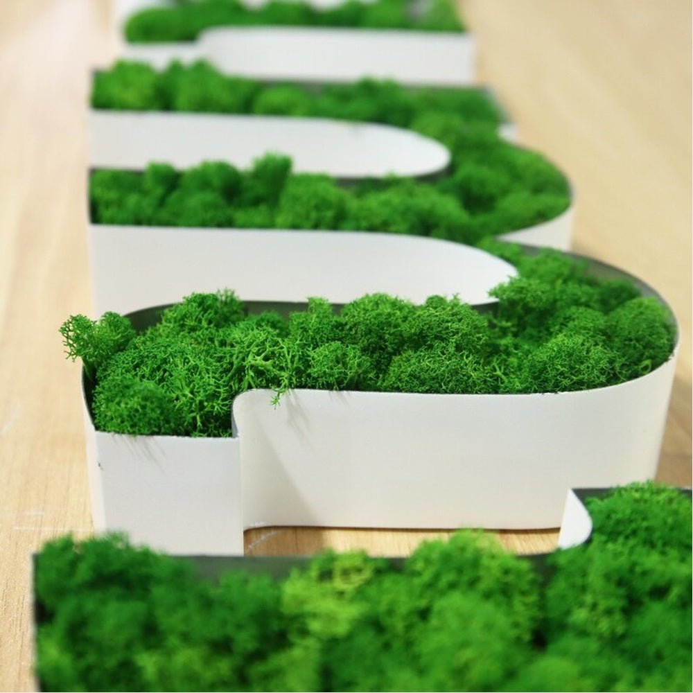 Family 3D Moss Letter Sign - Shineneon