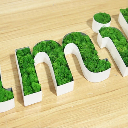 Family 3D Moss Letter Sign - Shineneon