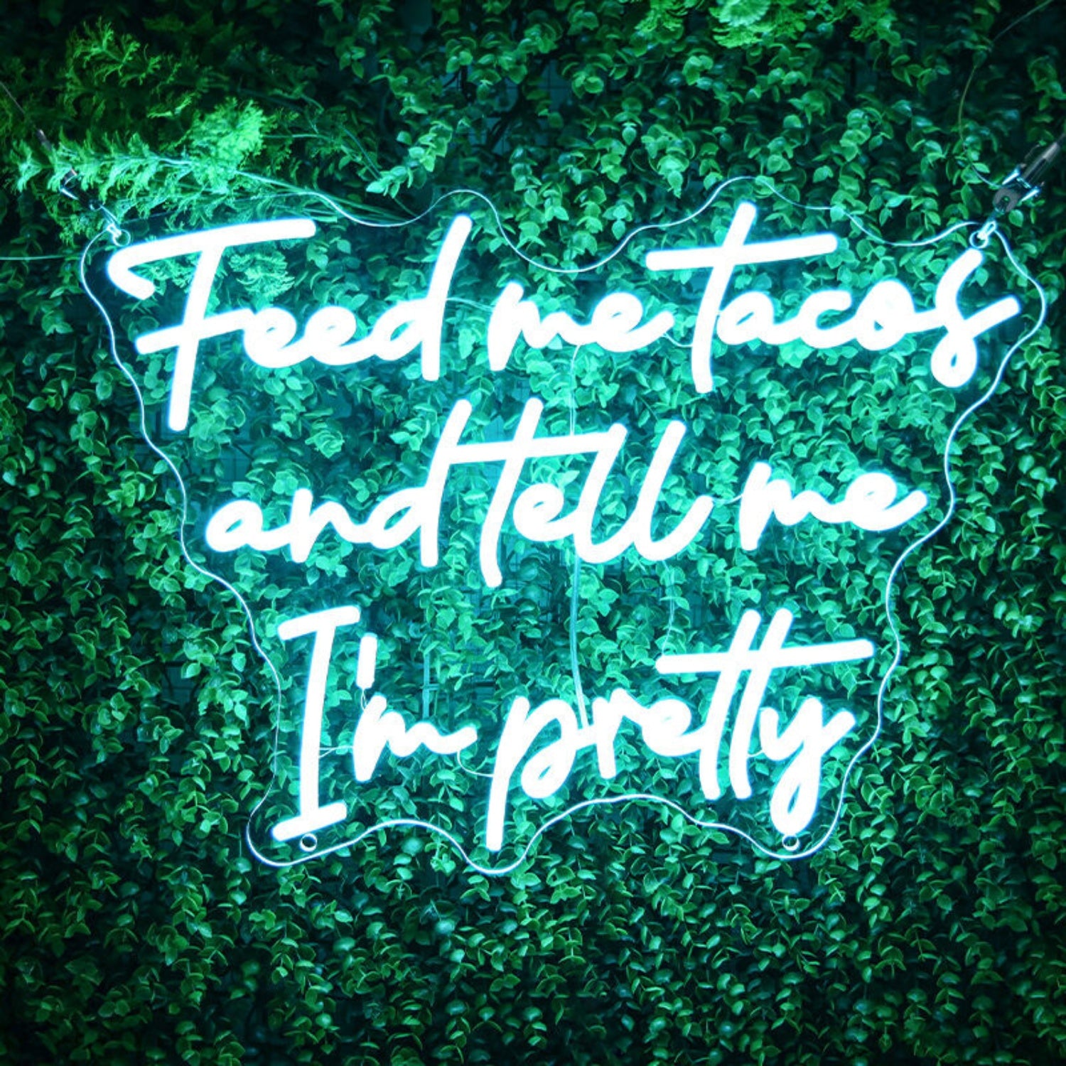 Feed Me Tacos And Tell Me Im Pretty Led Neon Sign For Dining Areas | Shineneon