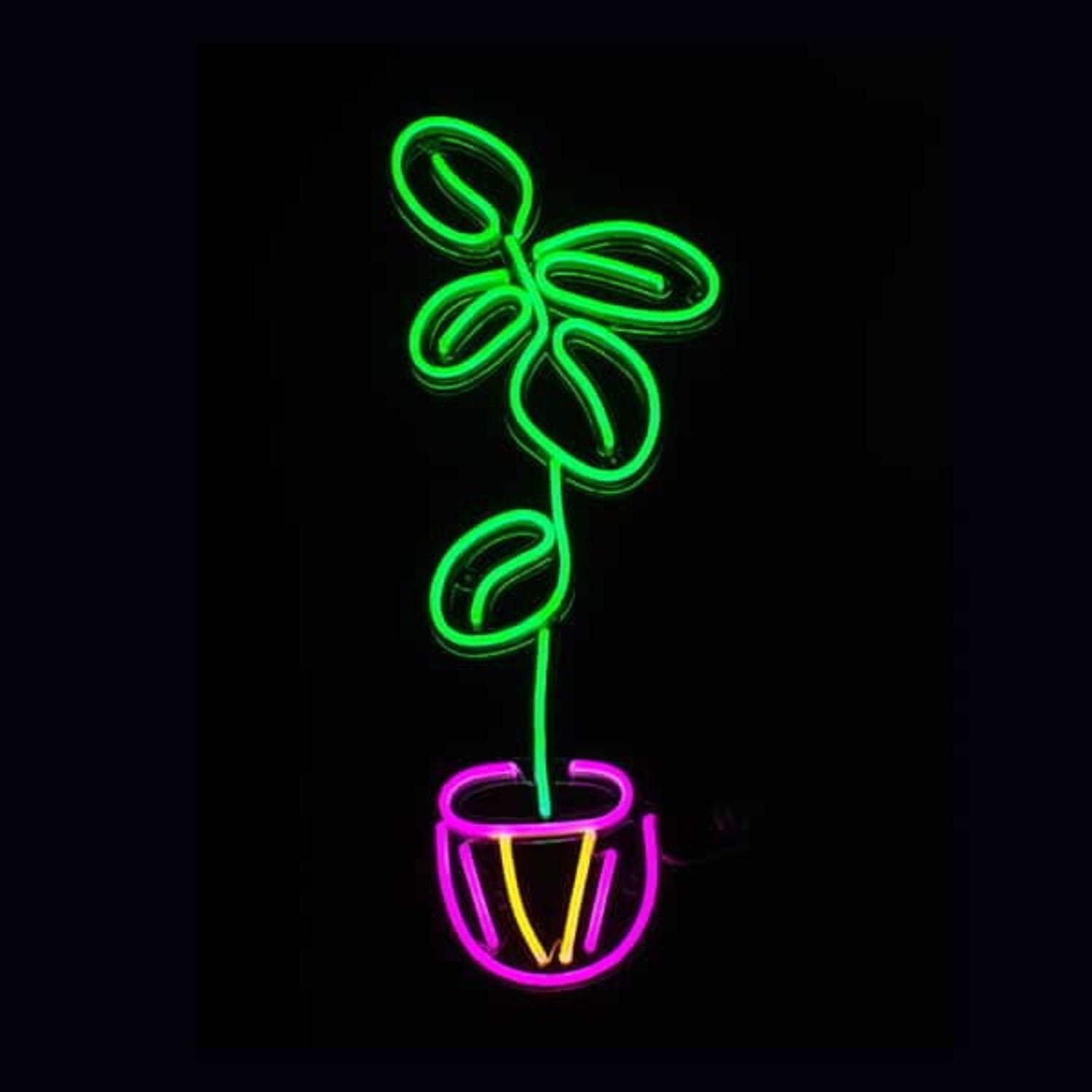 Fiddle Leaf Fig Plant Led Neon Sign - Shineneon