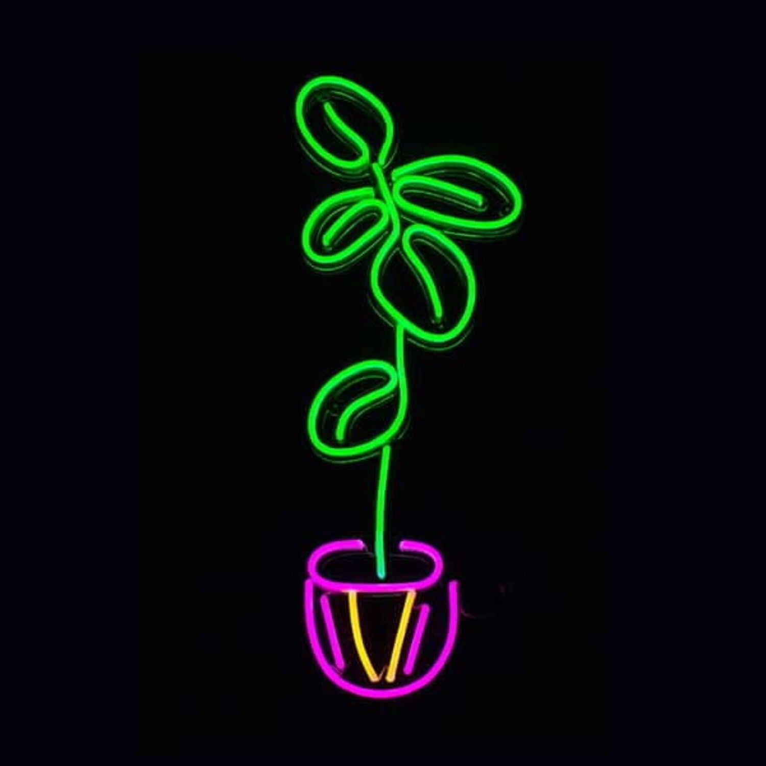 Fiddle Leaf Fig Plant Led Neon Sign - Shineneon
