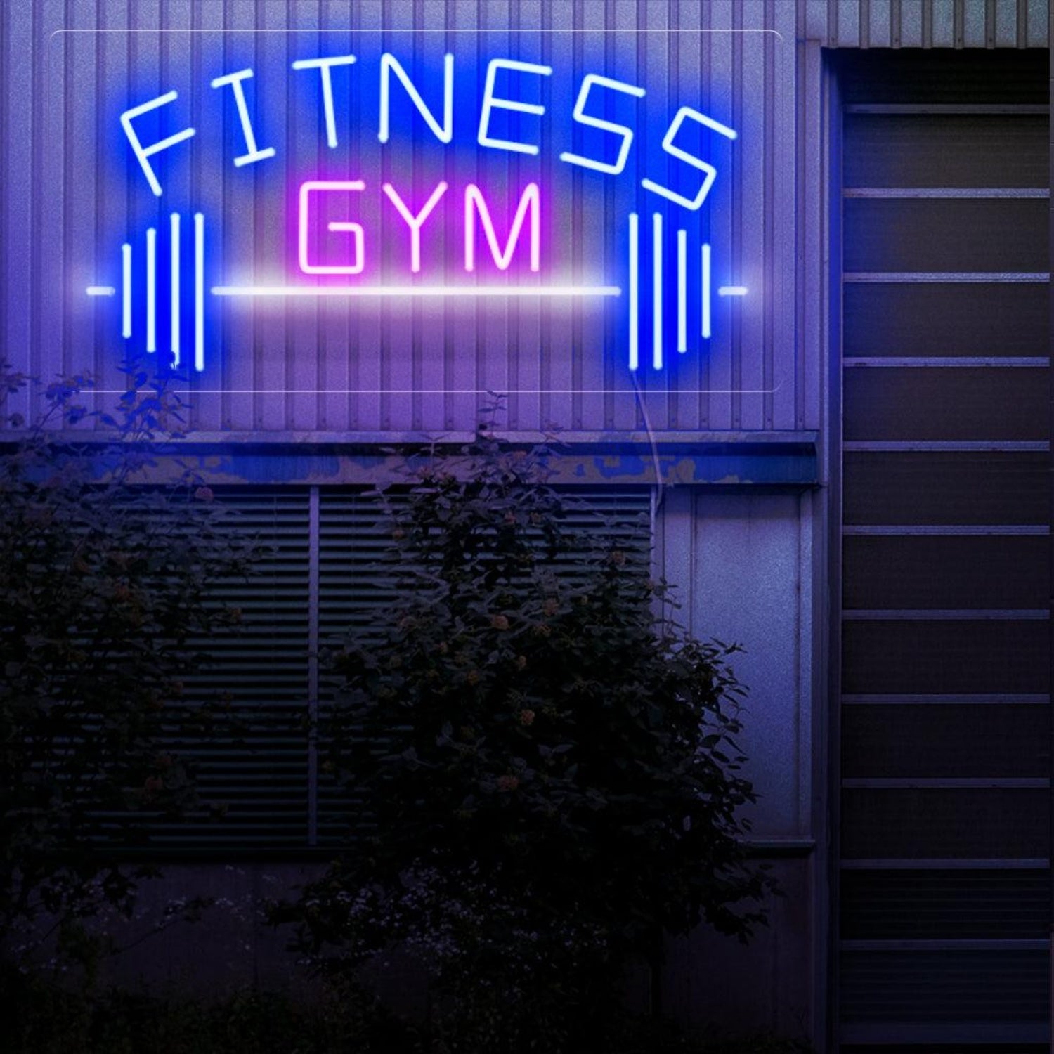 Fitness Gym Blue Pink Dumbbell Led Neon Sign For Outdoor Gym Wall | Shineneon