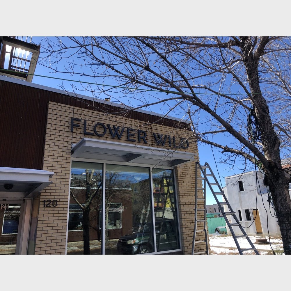 Flower Wild 3D Backlit Channel Letters Led Light Sign - Shineneon