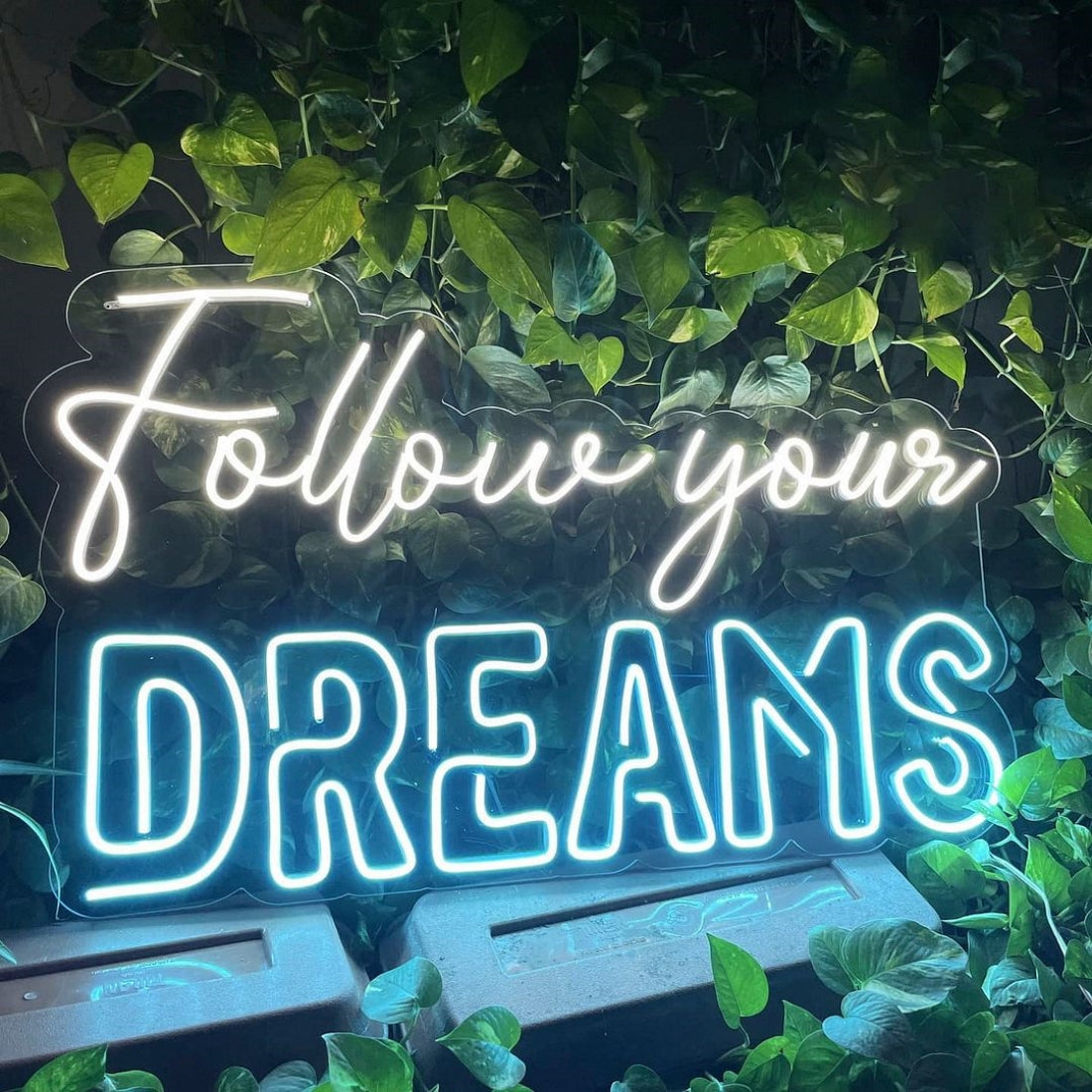 Follow Your Dreams Led Sign Business Neon Signs Wall Decor