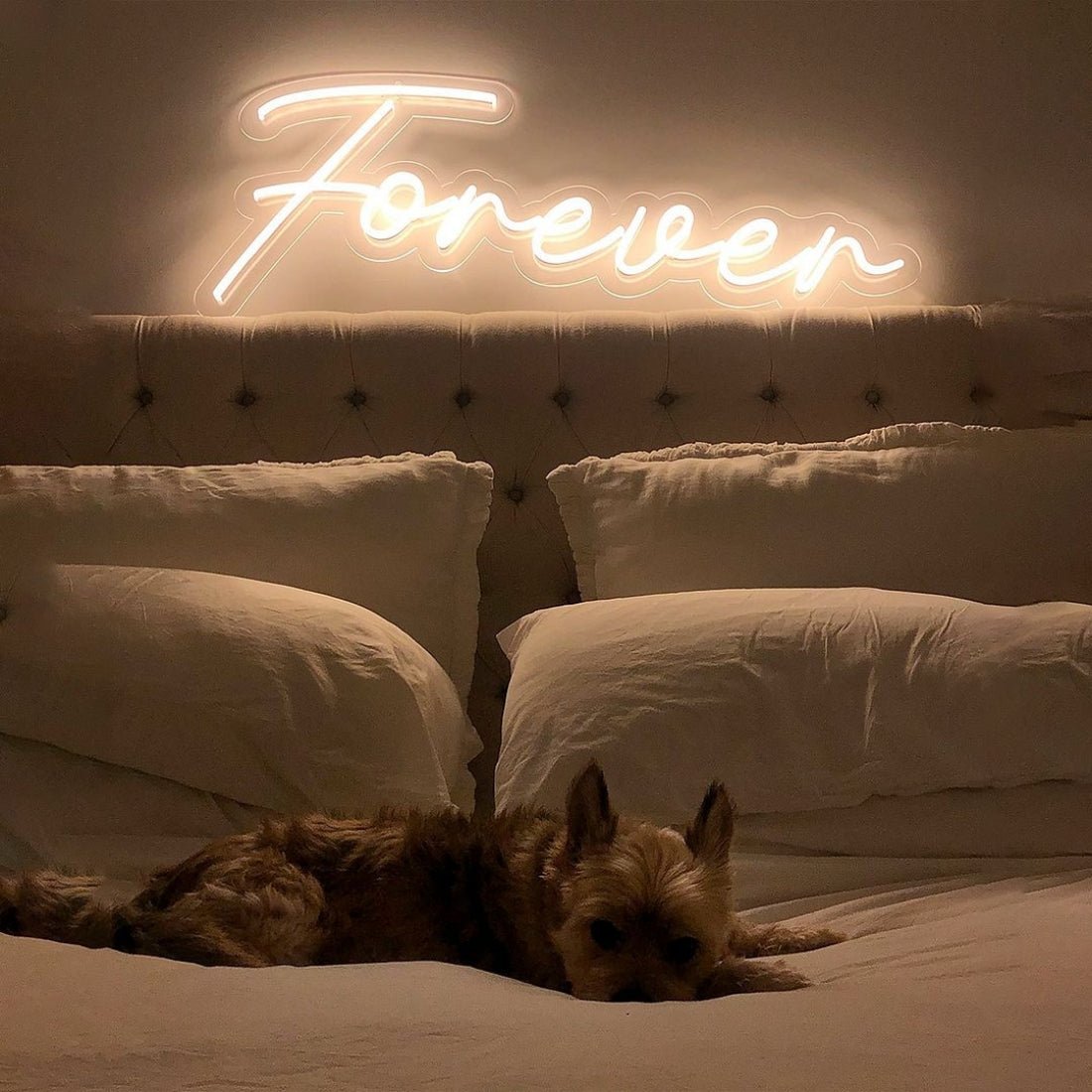 Forever Led Sign Business Neon Sign - Shineneon