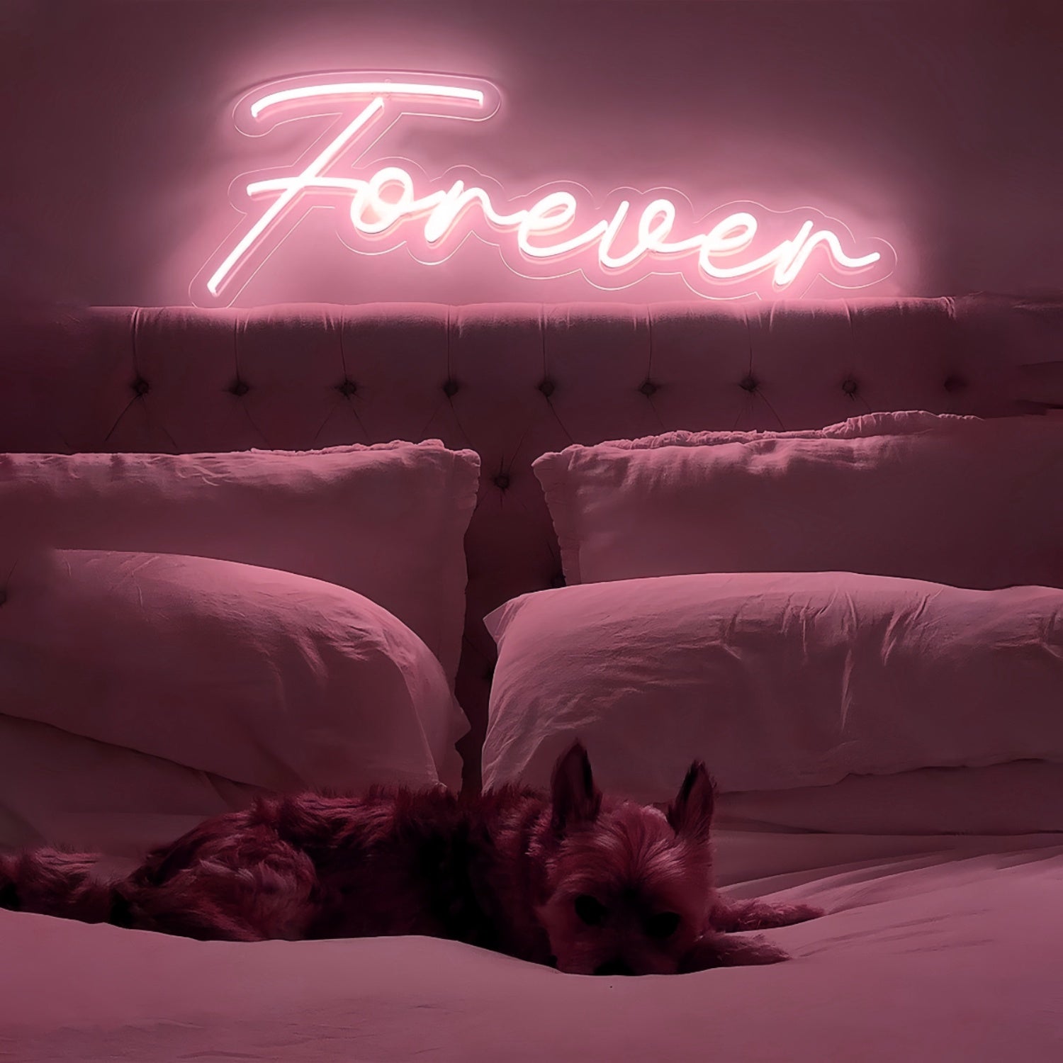 Forever With Neon Art | Shineneon