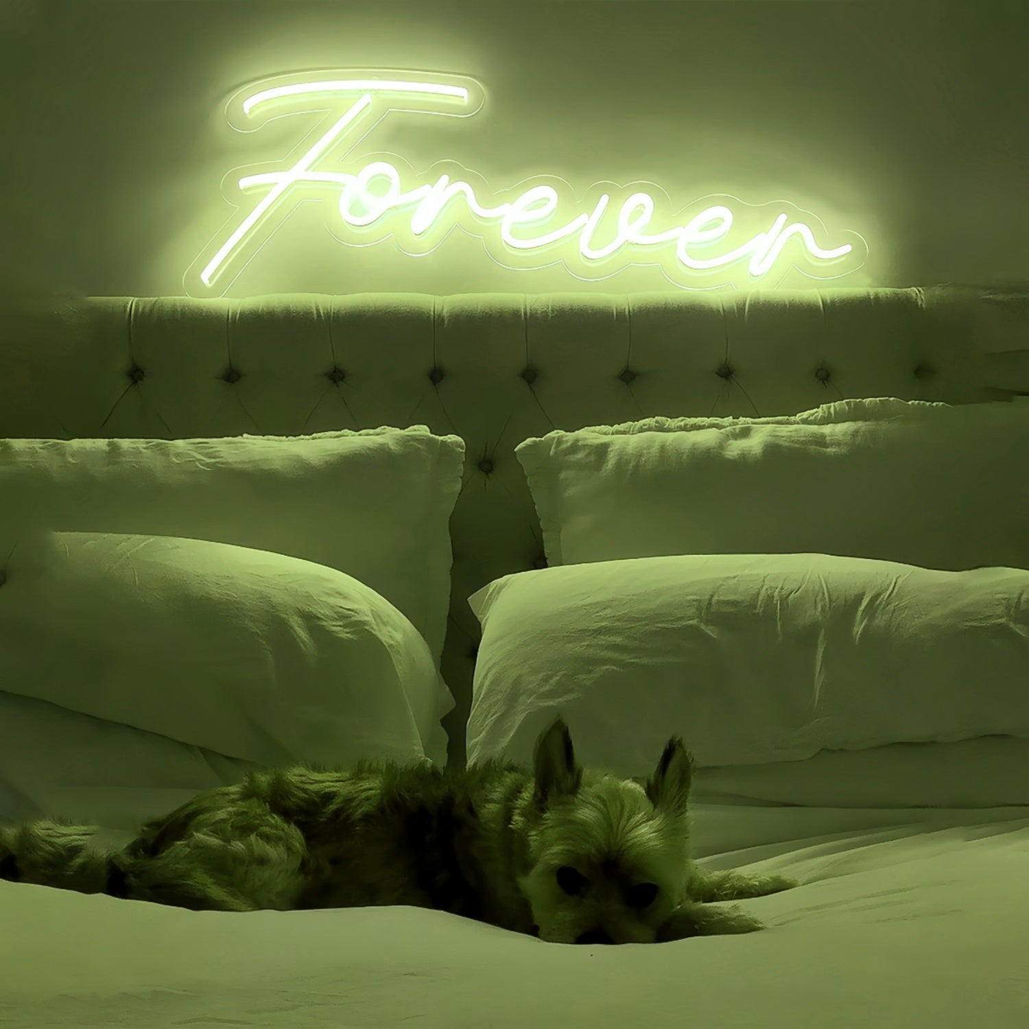 Forever With Neon Art | Shineneon