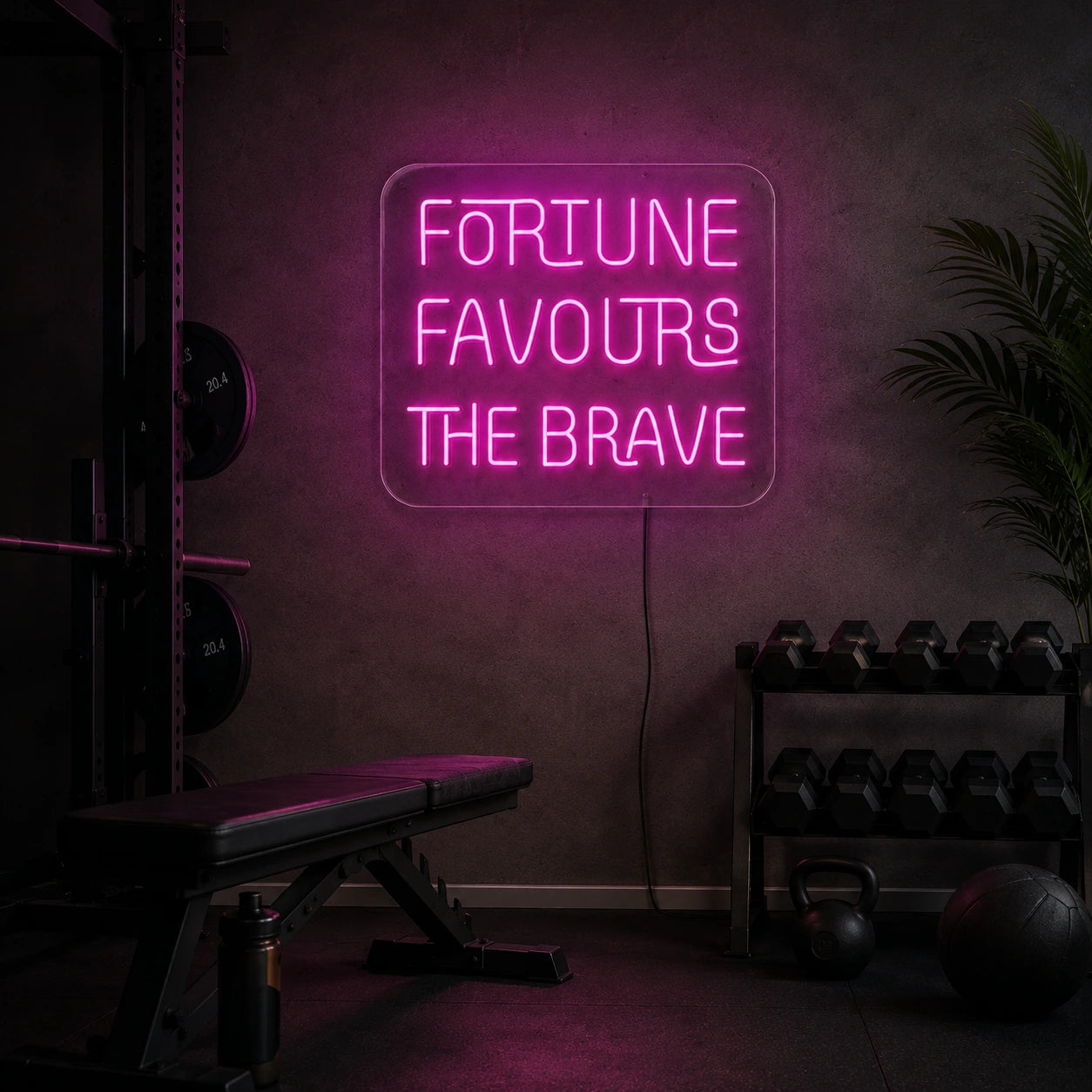 Fortune Favours The Brave LED Neon Sign real lifestyle scene