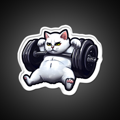 Funny Kitten Cat Lifting Weights At The Gym Exercising Fitness Led Neon Sign Rgb Color