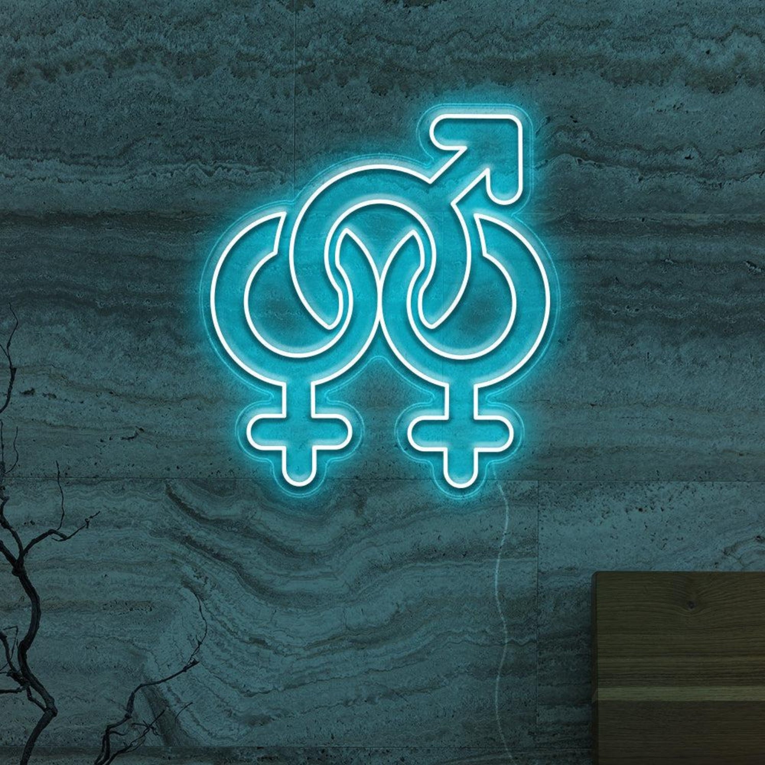 Gender Fluid Symbols Led Neon Sign For Lgbtq Bars Studios | Shineneon