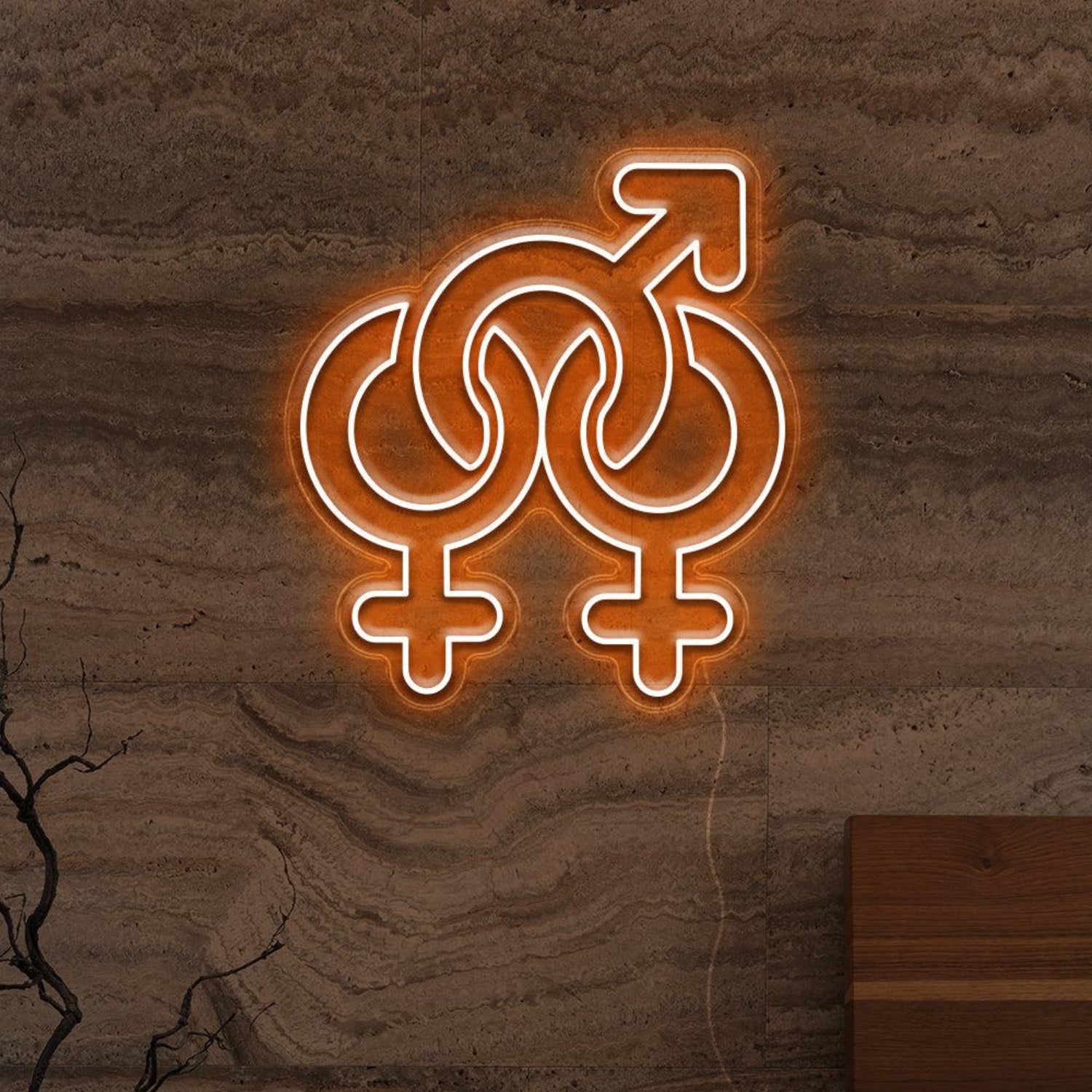 Gender Fluid Symbols Led Neon Sign For Lgbtq Bars Studios | Shineneon
