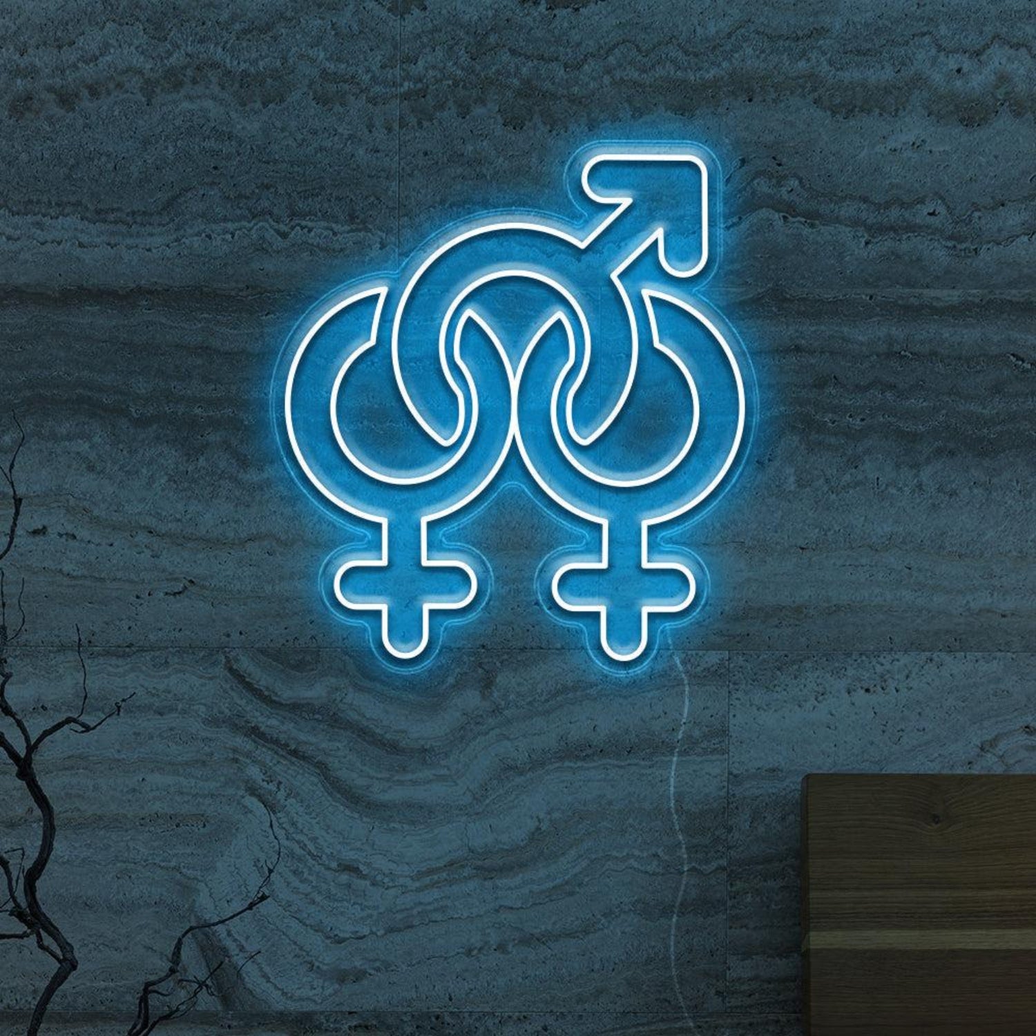 Gender Fluid Symbols Led Neon Sign For Lgbtq Bars Studios | Shineneon