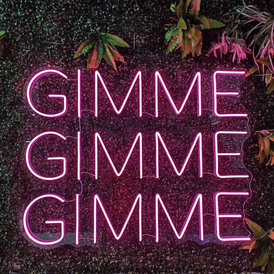 Gimme Gimme Gimme Led Sign Business Neon Sign - Shineneon