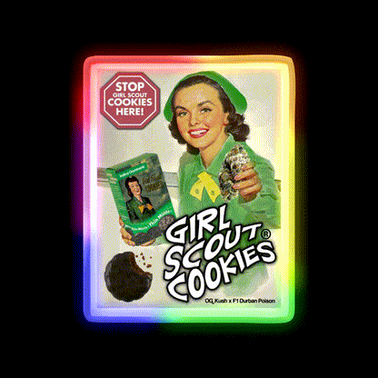 Girl Scout Cookies Hemp Inspired Green Leaf Led Neon Sign Rgb Color - LED neon sign close-up detail