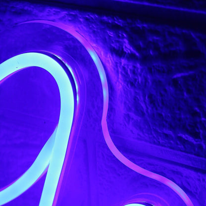 Go Big Blue Custom Led Neon Sign | Shineneon