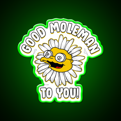 Good Moleman To You Beer Bar Decor Led Neon Sign Rgb Color - LED neon sign view 8