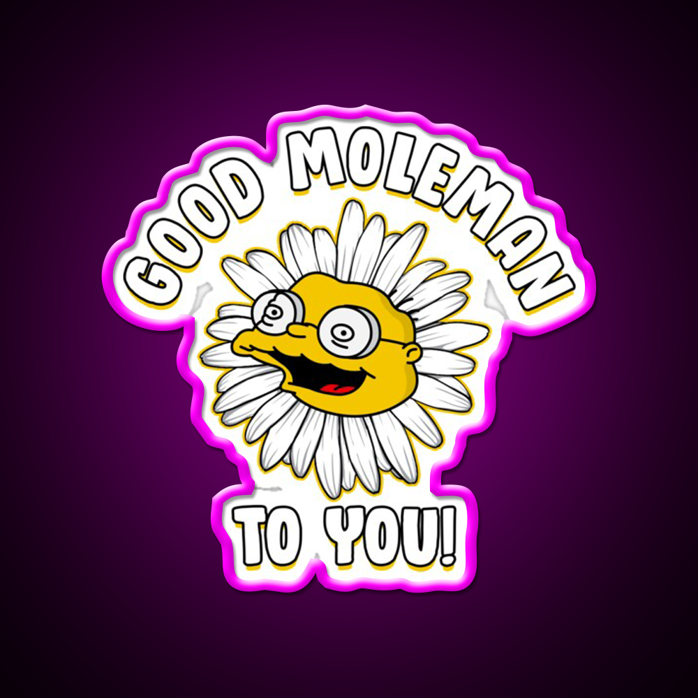 Good Moleman To You Beer Bar Decor Led Neon Sign Rgb Color - Neon sign mounted on wall in room