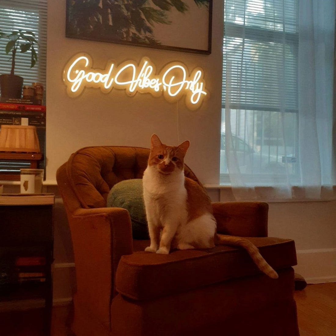 Good Vibes Only Neon Sign Led Home Decor Signs - Shineneon