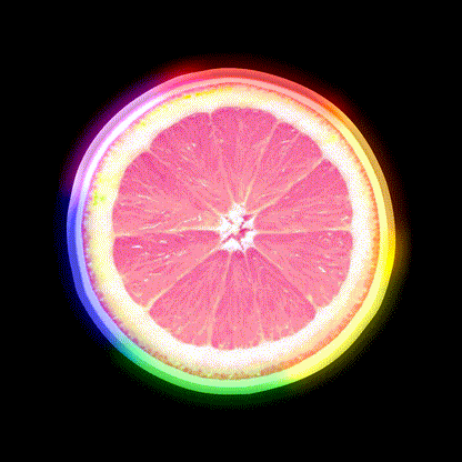 Grapefruit Slice Snack Food Led Neon Sign Rgb Color - LED neon sign close-up detail