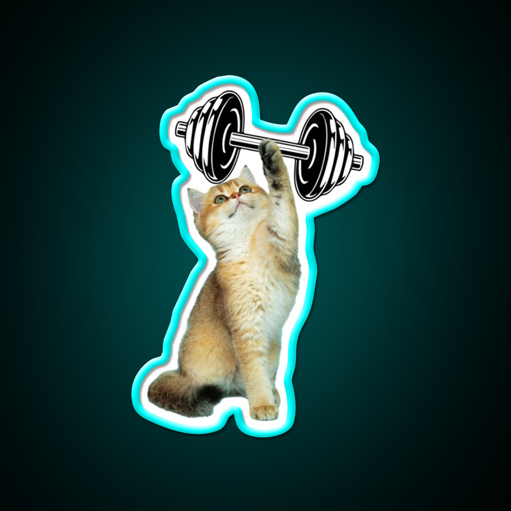 Gym Cat Gym Fitness Led Neon Sign Rgb Color