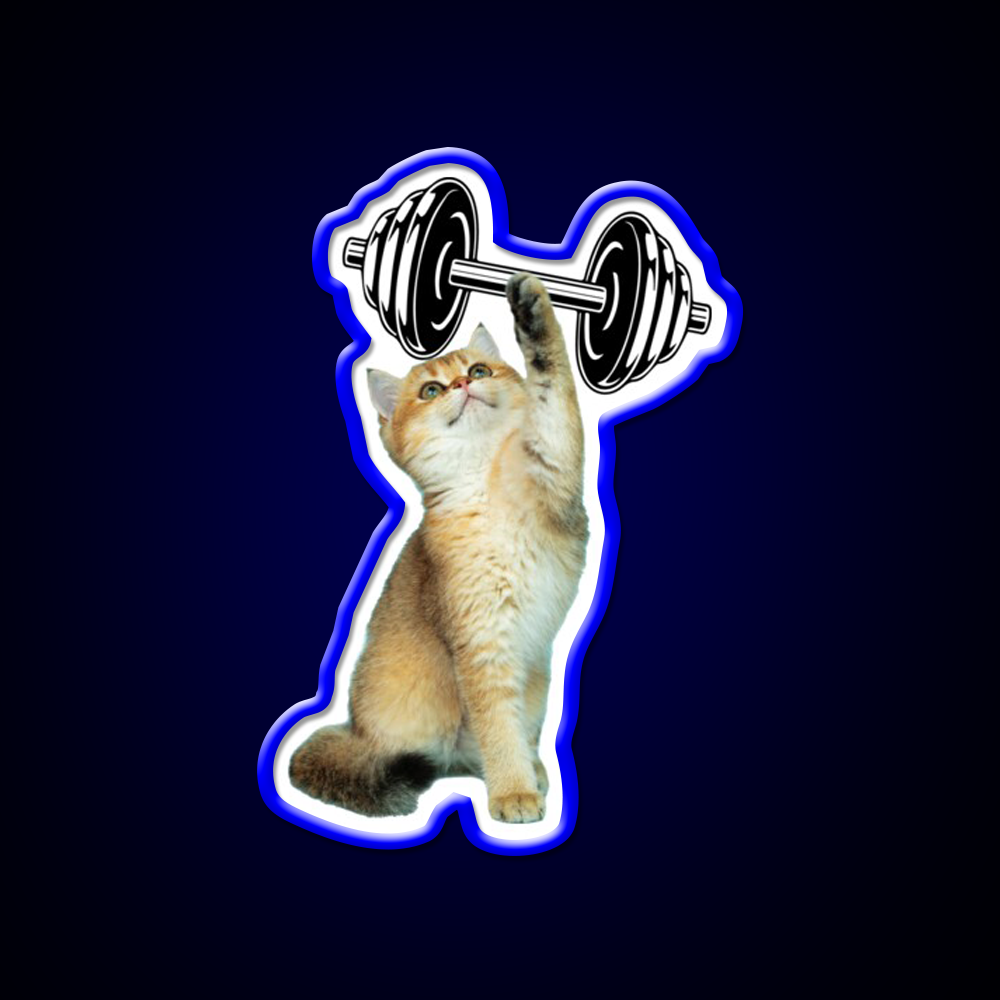 Gym Cat Gym Fitness Led Neon Sign Rgb Color