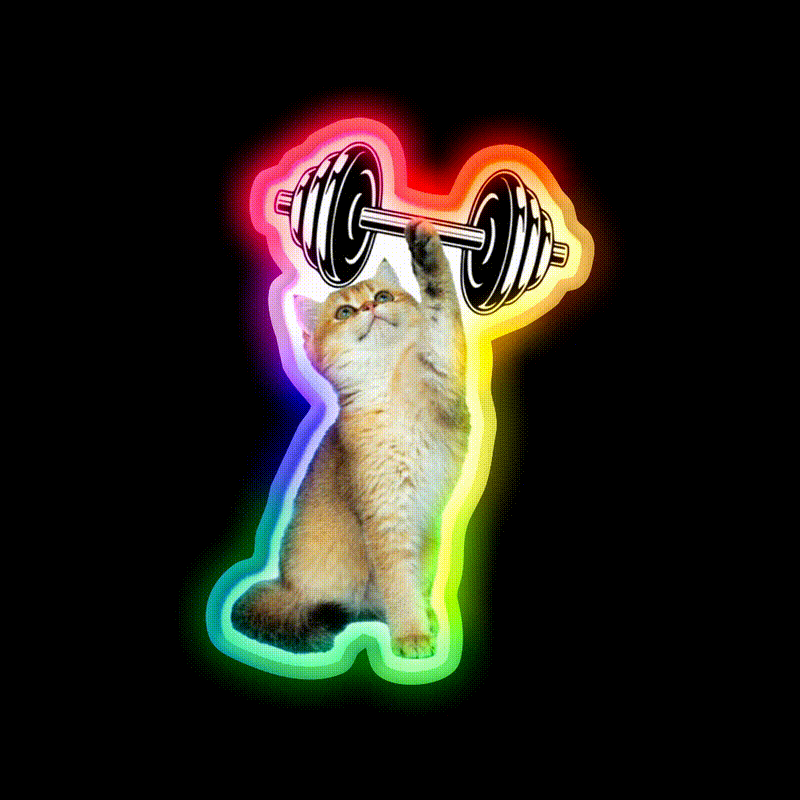 Gym Cat Gym Fitness Led Neon Sign Rgb Color